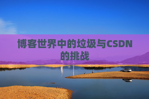 博客世界中的垃圾与CSDN的挑战